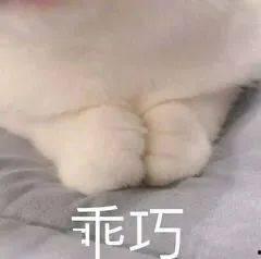 国产a斤,引领行业新潮流的匠心之作