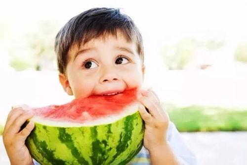 娱乐君吃瓜老绵羊,揭秘老绵羊背后的故事